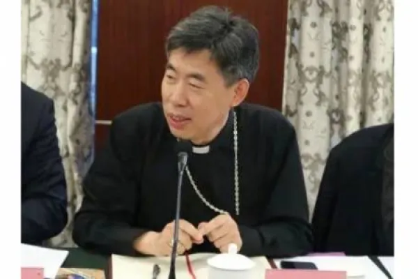 Un primo piano del vescovo Giuseppe Shen Bin / Fides