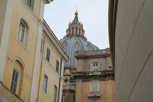 La cupola di S. Pietro - CNA