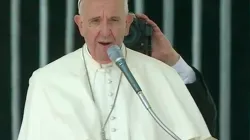 Papa Francesco durante l'udienza generale del 9 aprile 2016 / CTV