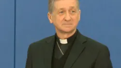 Il Cardinale Blaise Cupich nella conferenza stampa di lancio dell'iniziativa  / archchicago.org