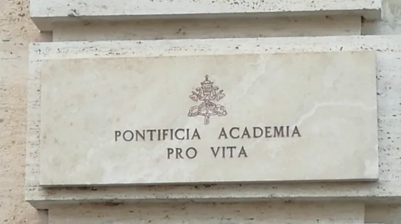 Pontificia Accademia per la Vita | L'insegna della Pontificia Accademia per la Vita | PAV