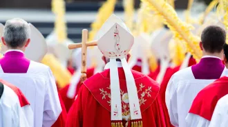 Domenica delle Palme, Papa Francesco: "Con la croce non si può negoziare"