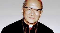Il Cardinale François Xavier Nguyen Van Thuan, che fu, tra le altre cose, anche presidente del Pontificio Consiglio della Giustizia e della Pace / Foto: Wikimedia Commons