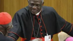 Il Cardinale Peter Turkson, prefetto del Dicastero per il Servizio dello Sviluppo Umano Integrale / Archivio ACI 