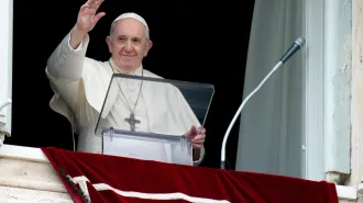 Papa Francesco attenti al rancore che torna come una mosca fastidiosa