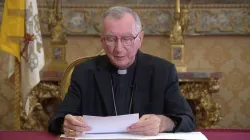 Il Cardinale Pietro Parolin durante un videomessaggio / Holy See Mission