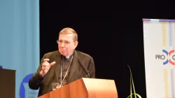 Il Cardinale Koch in una delle conferenze tenute durante il suo viaggio in Austria, tenutosi dal 6 al 9 ottobre 2020 / Pontificio Consiglio per la Promozione dell'Unità dei Cristiani