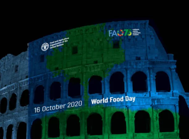 Il logo dei 75 anni della FAO |  | FAO