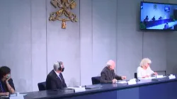 La conferenza stampa di presentazione della plenaria della Pontificia Accademia per la Vita  / Vatican Media / YouTube