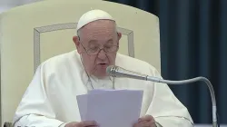 Papa Francesco durante una udienza  / Vatican Media You Tube