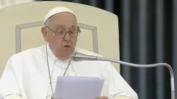 Papa Francesco durante l'udienza generale / Vatican Media / You Tube