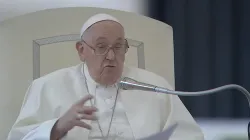 Papa Francesco durante l'udienza generale del 15 novembre 2023 / Vatican Media / YouTube