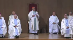 La Messa presieduta dal Cardinale De Donatis - Sanctuaire Notre-Dame de Lourdes