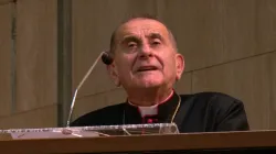 L'Arcivescovo di Milano Mons. Mario Delpini - Arcidiocesi di Milano