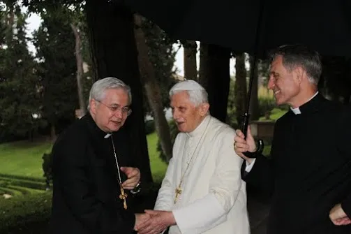 Seminaristi della Diocesi di Faenza-Modigliana in visita dal Papa emerito, Giardini Vaticani, 16 giugno 2015 | Cortesia dei seminaristi della Diocesi di Faenza-Modigliana