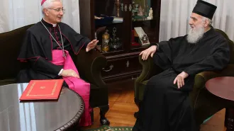 Diplomazia pontificia, Papa Francesco in Serbia? 