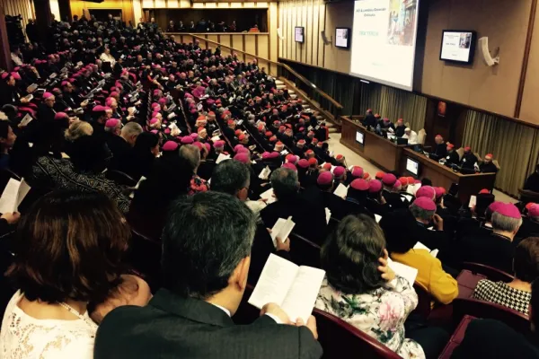Un momento dell'Assemblea Sinodale 2015 / ACI Stampa 