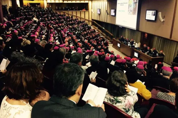 Una seduta del Sinodo  dei vescovi del 2015  / Archivio ACI Group
