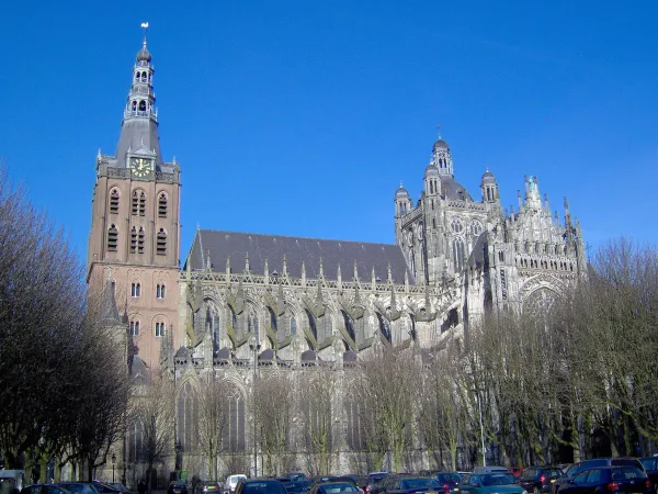 Cattedrale den Bosch | La Cattedrale di Den Bosch in Olanda | Wikimedia Commons