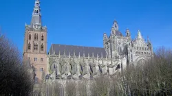 La Cattedrale di Den Bosch in Olanda / Wikimedia Commons