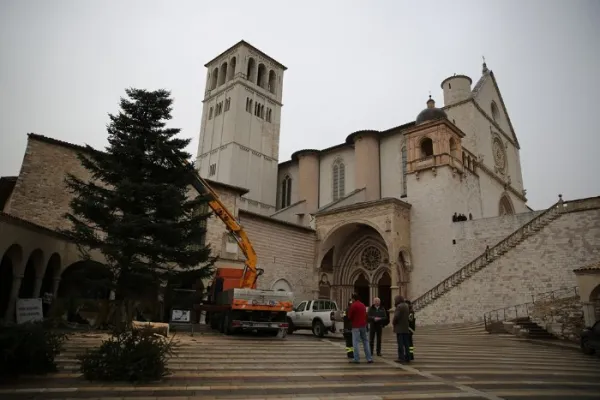 Albero di Natale installato di fronte la Basilica Inferiore di San Francesco d'Assisi / sanfrancescopatronoditalia.com