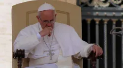Una immagine di Papa Francesco durante una udienza generale  / Stephen Driscoll / CNA 