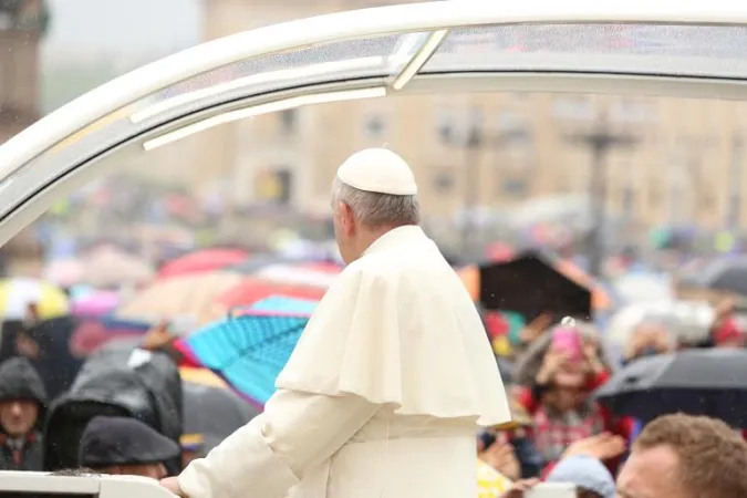 Papa Francesco Udienza Giubilare 14 maggio 2016 |  | Alexey Gotovsky , ACI Group