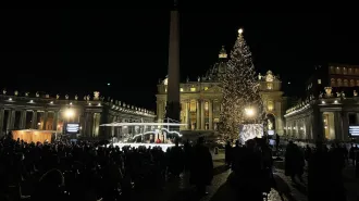 Tempo di Natale a Piazza San Pietro. Acceso l'albero e svelato il presepe