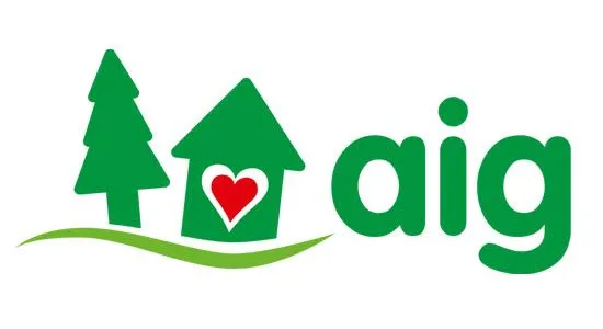 Il logo di AIG |  | AIG