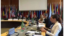 Una sessione dell'OSCE / OSCE