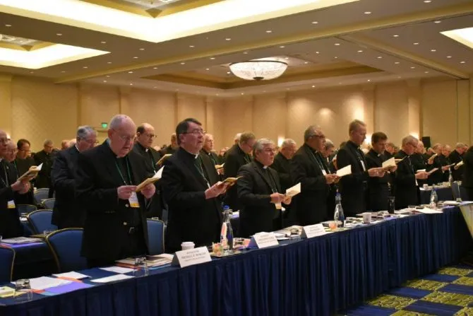 un momento di una passata assemblea dei vescovi USA. Quella di quest'anno si è tenuta virtualmente  | Catholicnewsagency