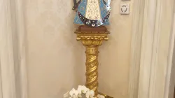 La riproduzione della Vergine di Lujan nella Biblioteca del Papa nel Palazzo Apostolico / AG / ACI Group