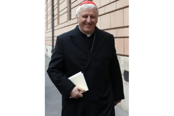Il Cardinale Giuseppe Versaldi / RV