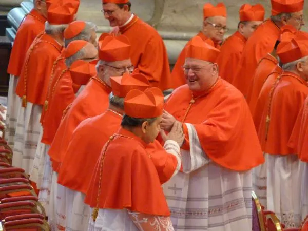 I Cardinali di Santa Romana Chiesa |  | Alan Holdren CNA