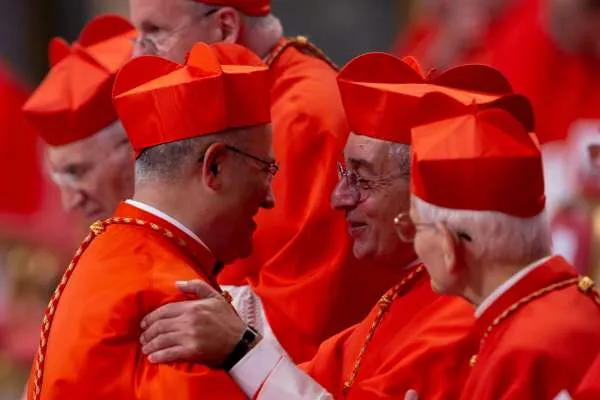 I Cardinali di Santa Romana Chiesa |  | Daniel Ibanez CNA