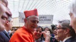 Il cardinale Matteo Zuppi, presidente della CEI / Daniel Ibanez / ACI Group