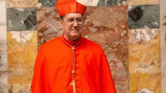 Il Cardinale Ayuso agli induisti: "Non dobbiamo cedere al pessimismo"