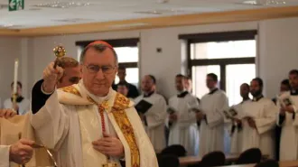 Il Cardinale Parolin: "La famiglia oggi è sotto attacco della cultura disgregatrice"
