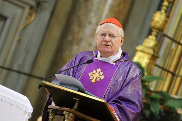 Il Cardinale Angelo Scola |  | Stephen Driscoll CNA
