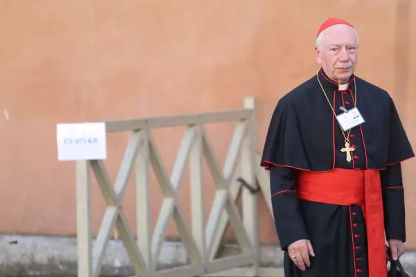 Il Cardinale Francesco Coccopalmerio |  | Bohumil Petrik CNA