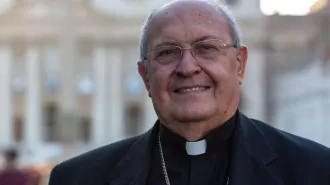 Il Cardinale Sandri: "Ci sono ideologie che disprezzano la libertà religiosa"