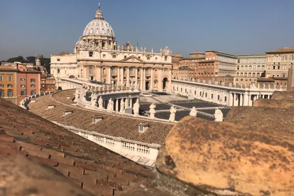 Una veduta della Basilica di San Pietro / AA / ACI Stampa