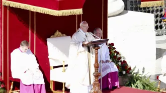 Papa Francesco annuncia: un sinodo per la regione panamazzonica nel 2019