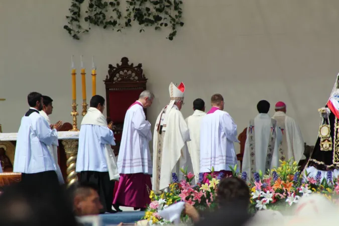 Papa Francesco in Cile | Papa Francesco, messa a Iquique, Cile, nell'ultimo incontro del suo viaggio nella nazione, 18 gennaio 2018 | Giselle Vargas / ACI Group