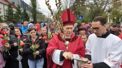 L'arcivescovo Ioan Robu di Bucarest apre la processione dei fiori in occasione della domenica delle Palme, Bucarest, 14 aprile 2019 / AG / ACI Group