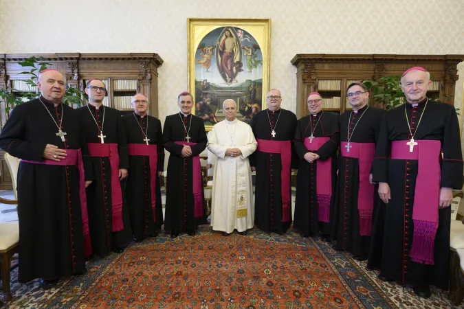 L'udienza di oggi | L'udienza di oggi | Credit Vatican Media