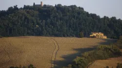 Immagine di repertorio / Credit Cei