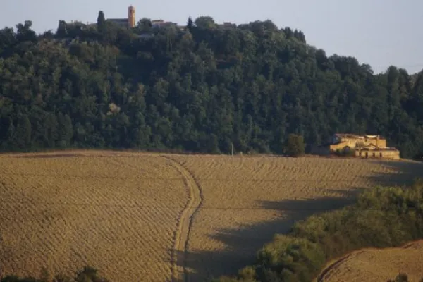 Immagine di repertorio / Credit Cei