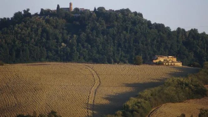 Immagine di repertorio | Immagine di repertorio | Credit Cei