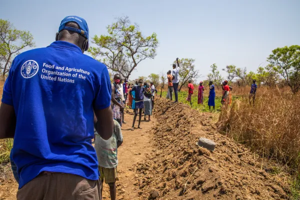 Immagine di repertorio / Credit Fao